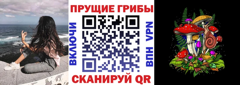 Псилоцибиновые грибы Cubensis  Светлый 